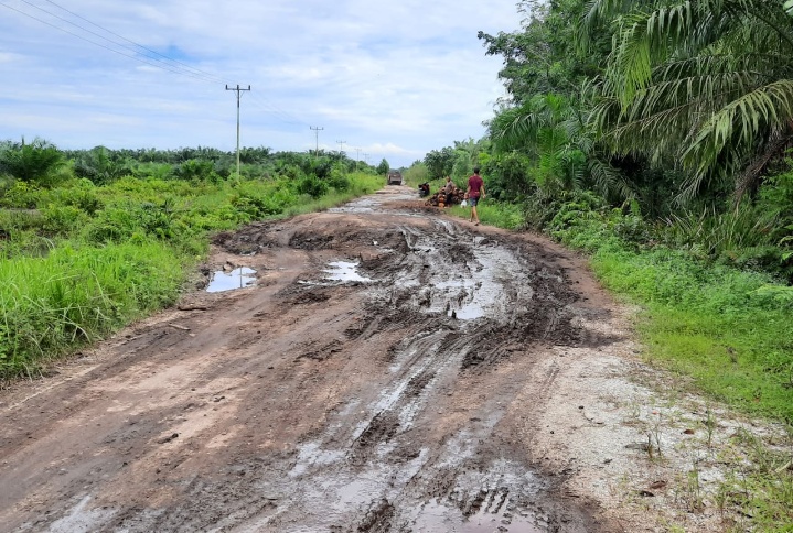 GTW Masuk Desa di Bengkalis, Jalan Rusak Menuju Muara Dua Seperti “Kubangan Kerbau” Dirapikan