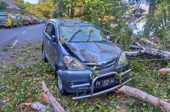 Toyota Avanza Naas Tertimpa Pohon Tumbang Timpa di Jalan Sentani-Abe