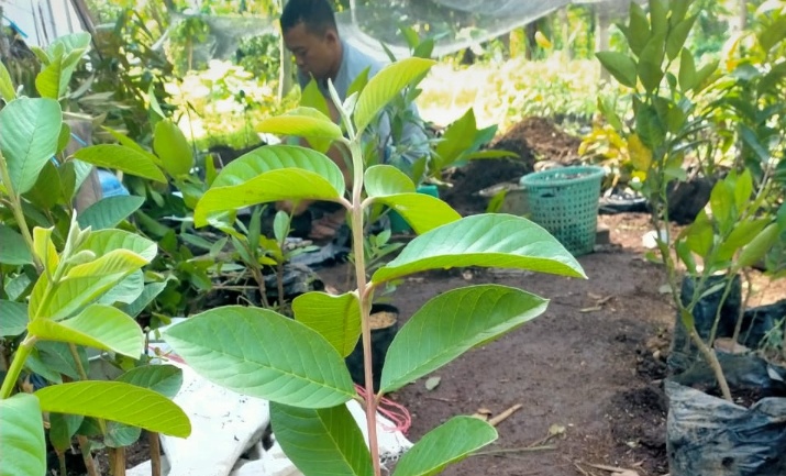 Gerakan Menanam Pohon Untuk Anak Cucu dan Pelestarian Lingkungan Hidup