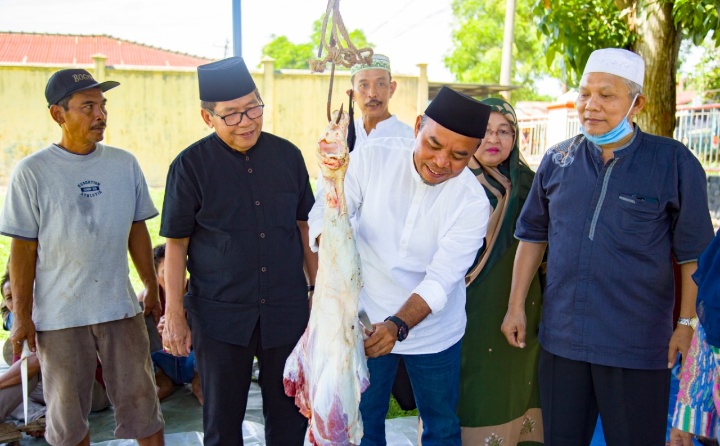 Bupati Andi Saksikan Penyembelihan Hewan Kurban Pemkab Labuhanbatu