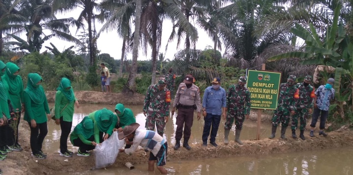 Siapkan Demplot, Koramil 09/Sosa Tabur Ribuan Benih Ikan Nila dan Ikan Mas