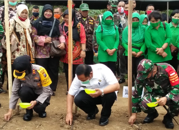 Kodim 0212TS Gelar Penanaman Perdana Jagung Program Pemberdayaan Prajurit dan Masyarakat Produktif