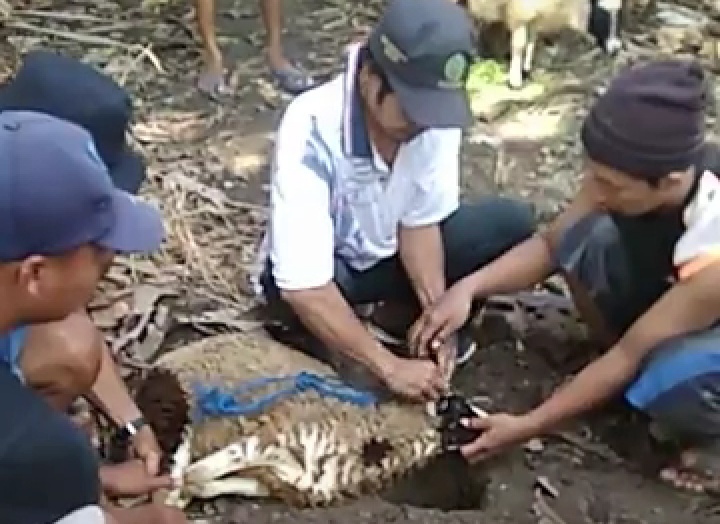 Tradisi Warga Desa Juntikedokan Sambut Idul Fitri Sembelih 2 Kambing Jalin Silaturahmi dan Buka Bersama Antar 