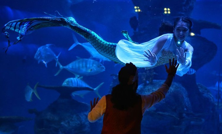 Segarkan Hati dengan Terapi Ikan Dalam Aquarium